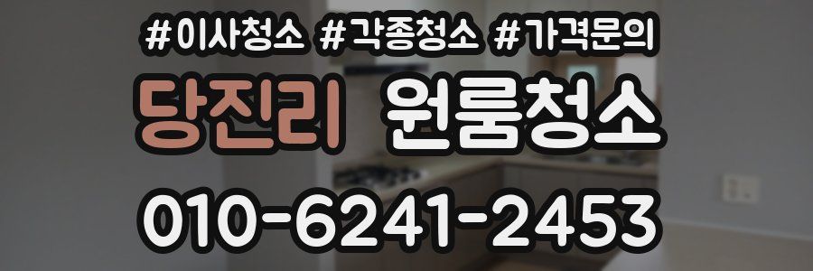 당진리 이사청소