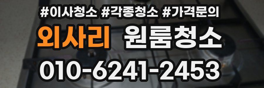 외사리 이사청소