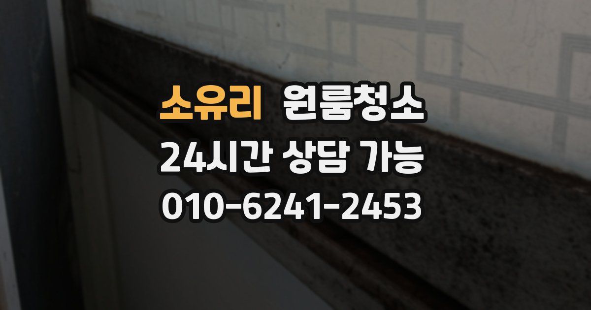 소유리 입주청소