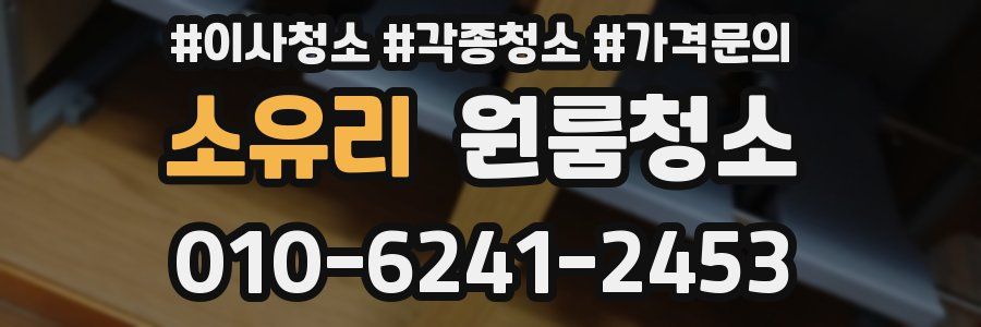 소유리 이사청소