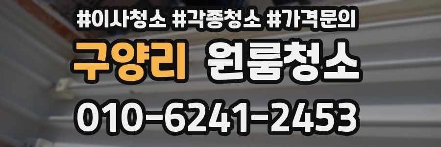 구양리 이사청소