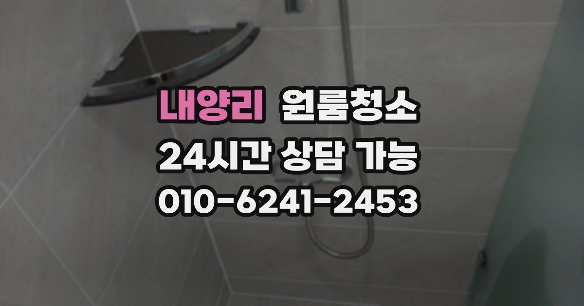 내양리 입주청소