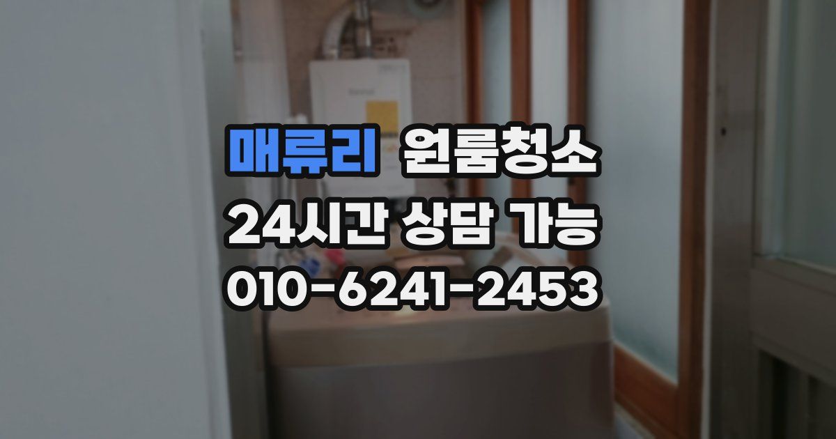 매류리 입주청소