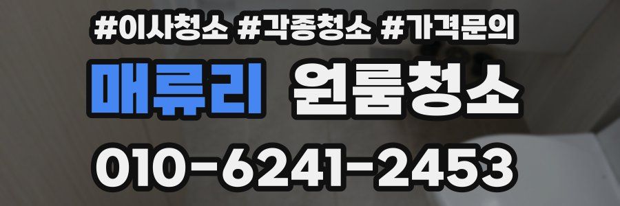 매류리 이사청소