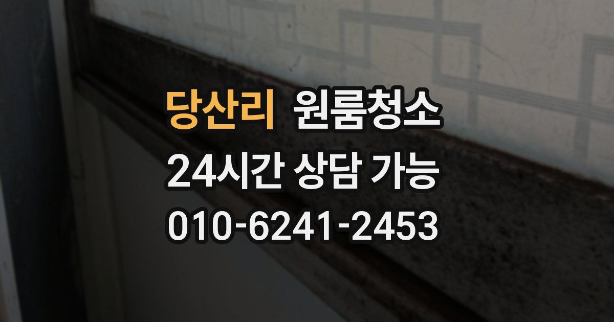 당산리 입주청소