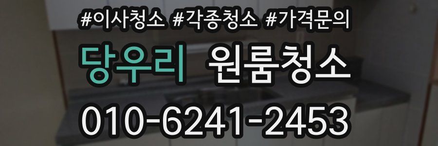 당우리 이사청소