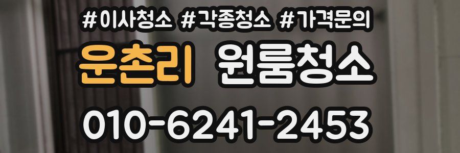 운촌리 이사청소