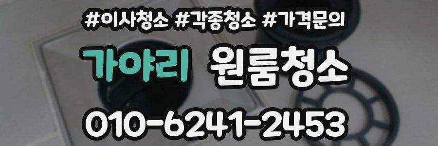 가야리 이사청소