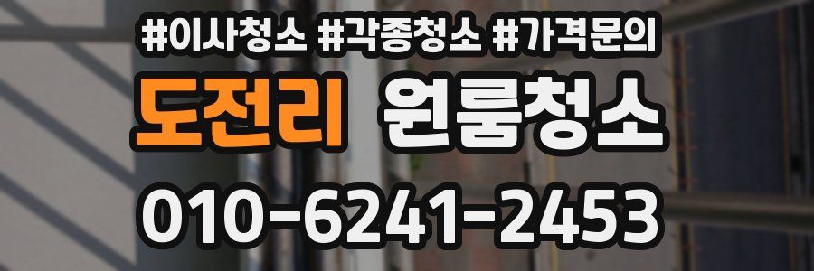 도전리 이사청소