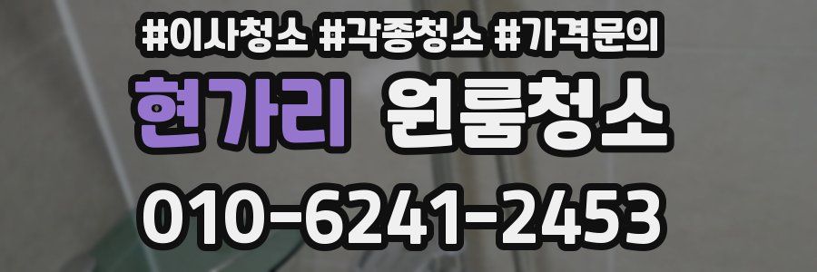 현가리 이사청소