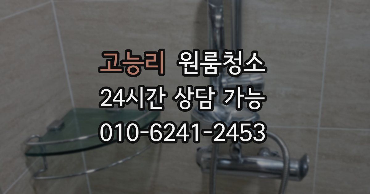 고능리 입주청소