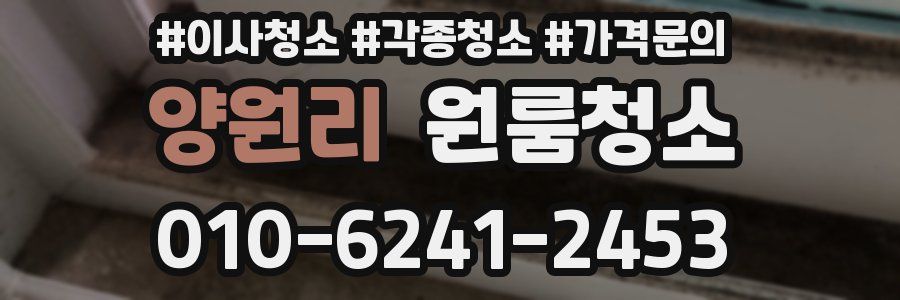 양원리 이사청소