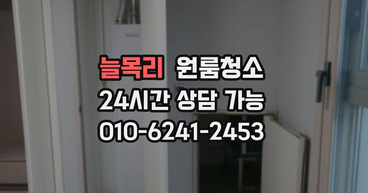 늘목리 입주청소