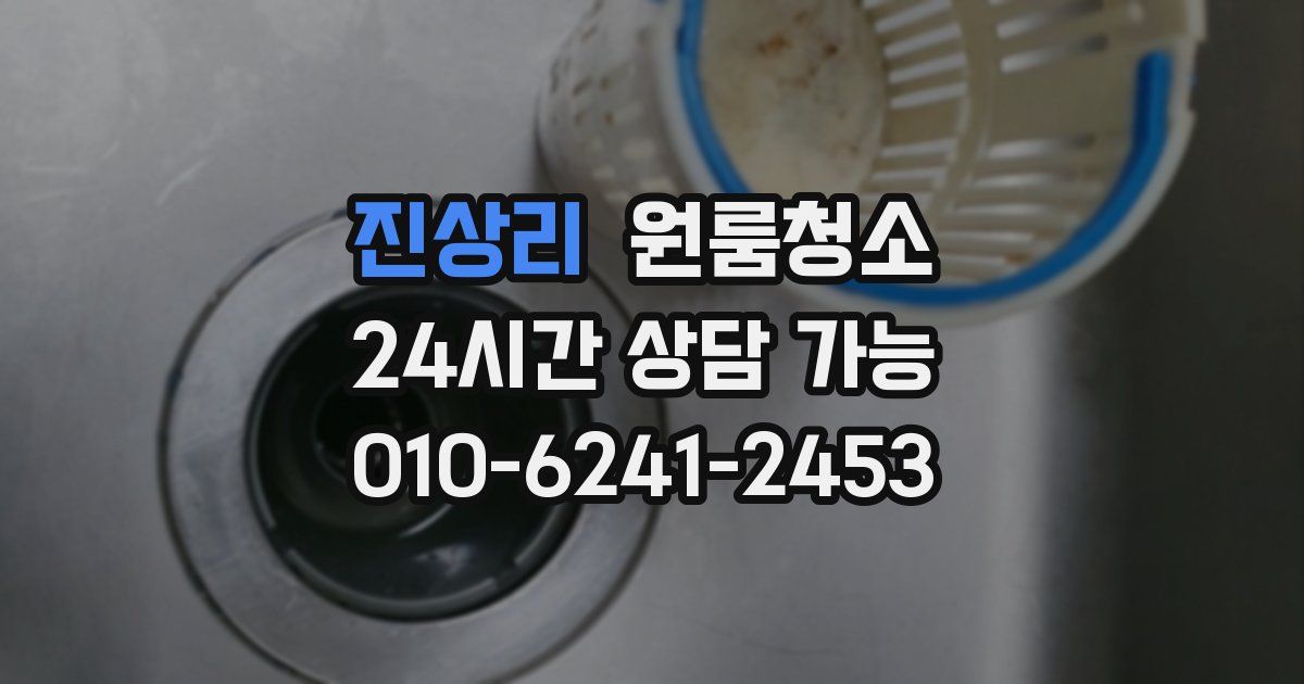 진상리 입주청소