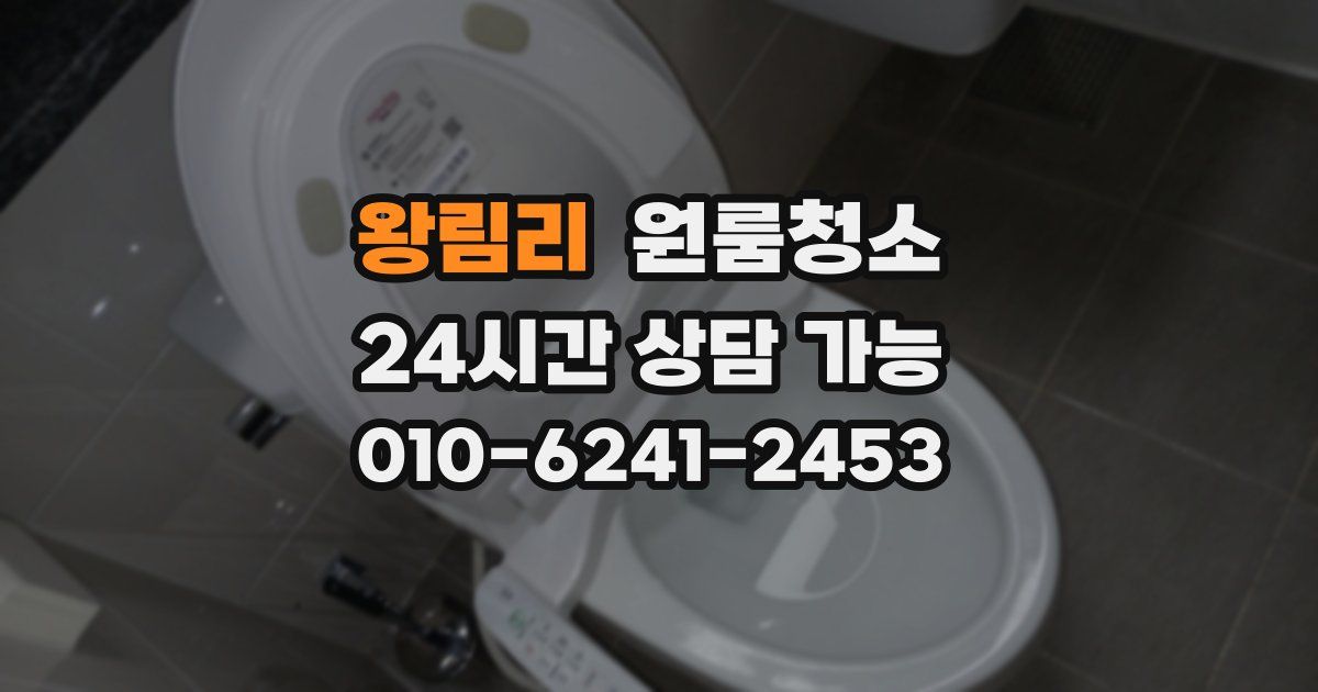 왕림리 입주청소