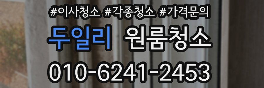 두일리 이사청소