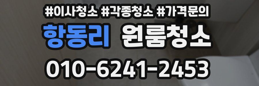 항동리 이사청소