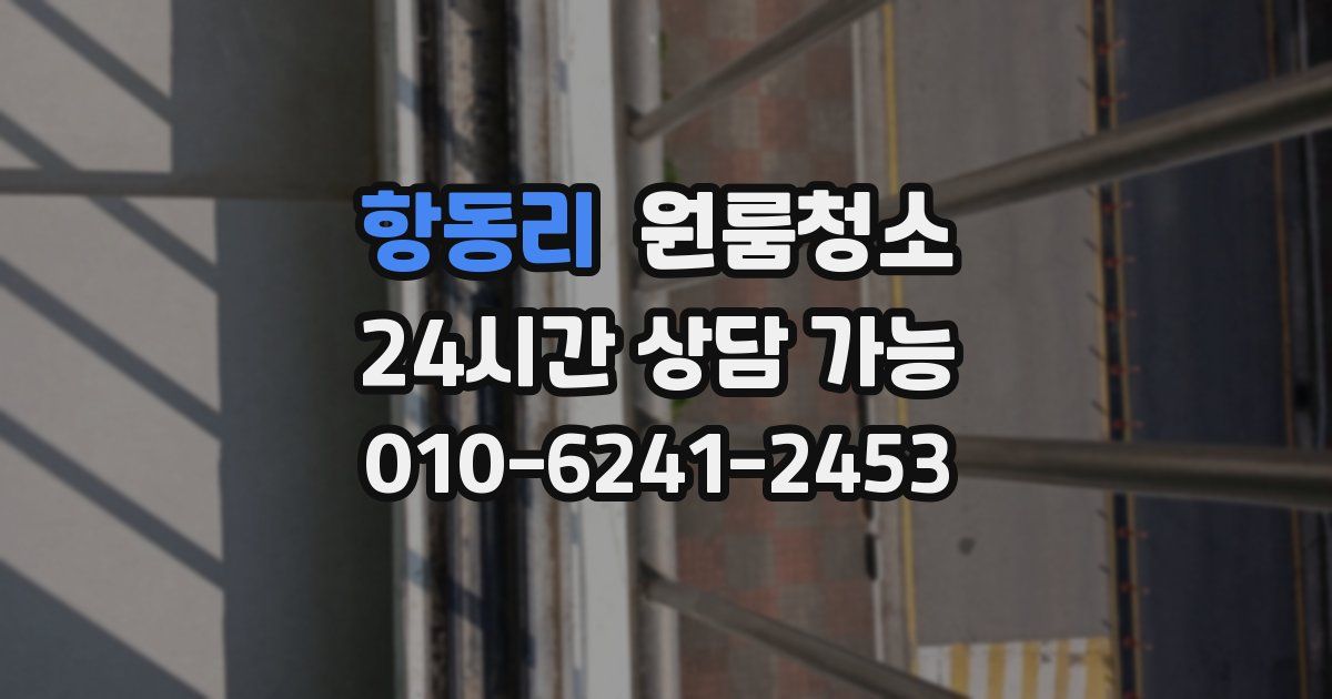 항동리 입주청소