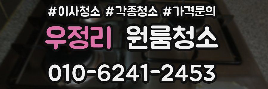 우정리 이사청소