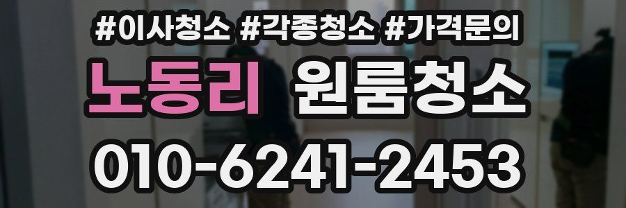 노동리 이사청소