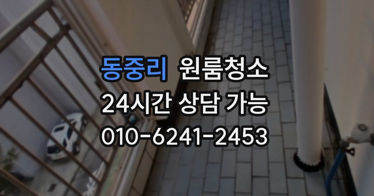 동중리 입주청소