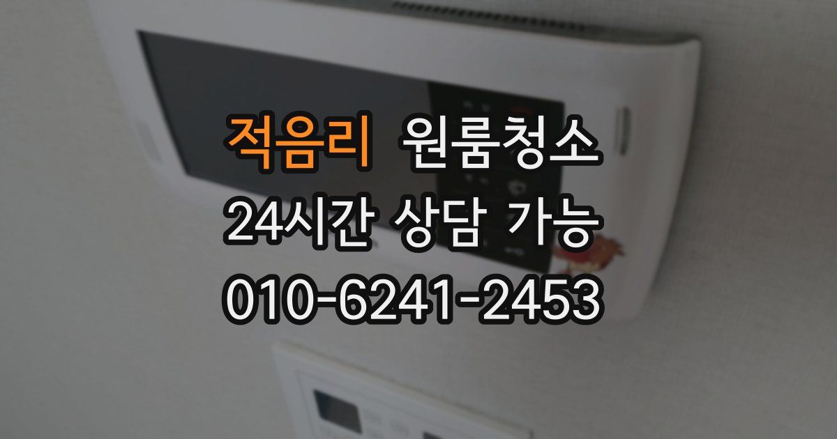 적음리 입주청소