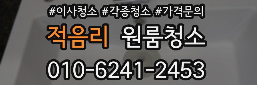 적음리 이사청소