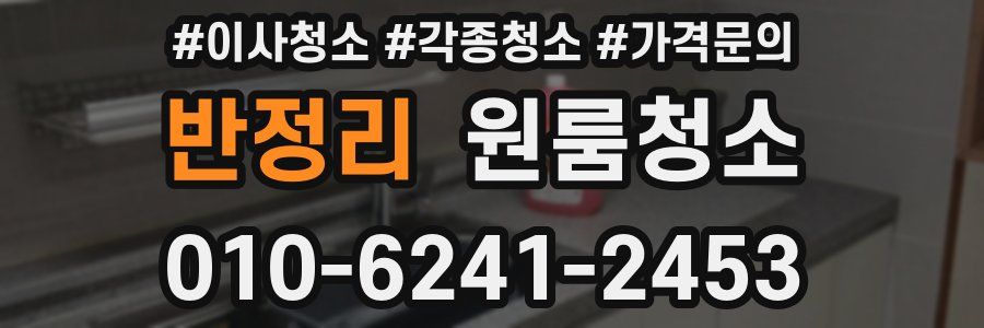 반정리 이사청소