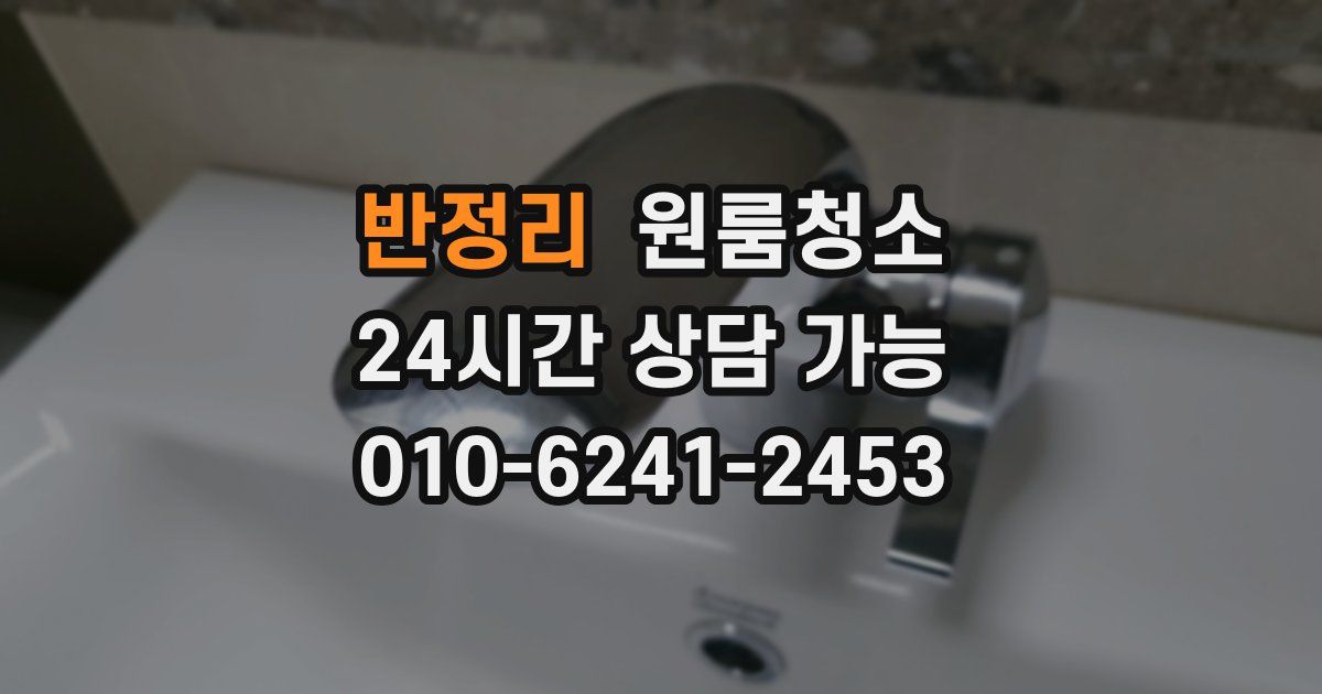 반정리 입주청소