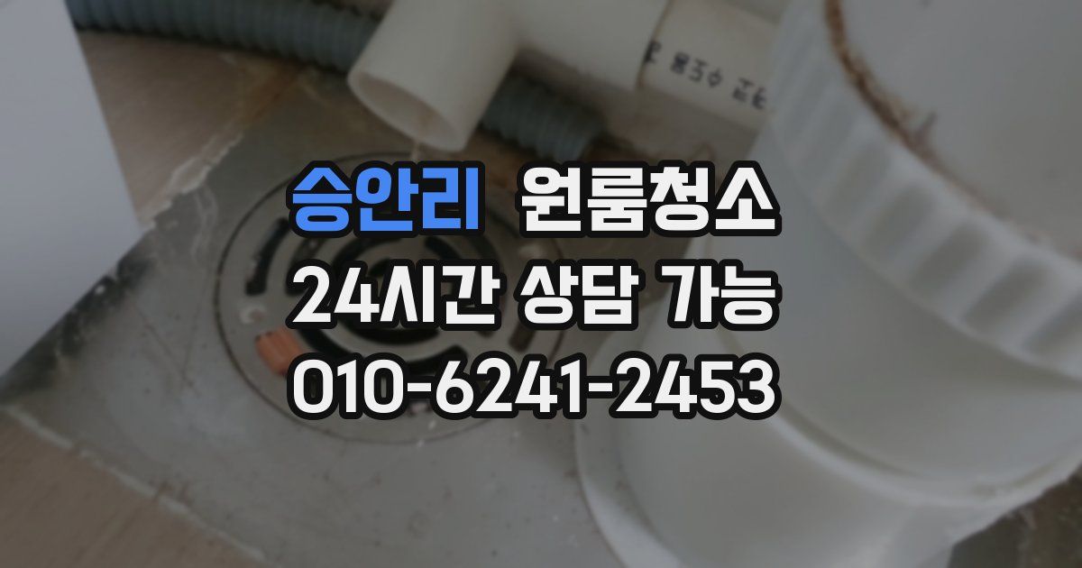 승안리 입주청소