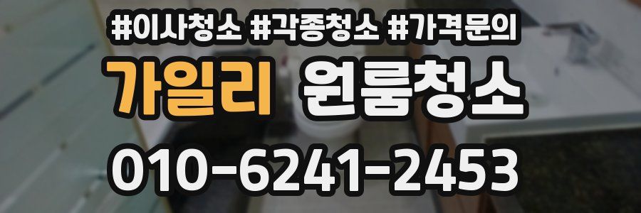 가일리 이사청소