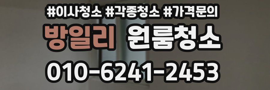 방일리 이사청소