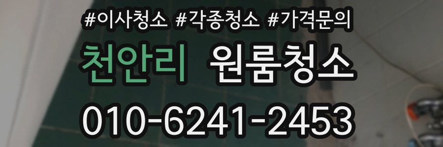 천안리 이사청소