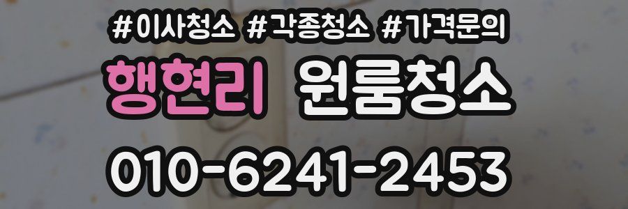 행현리 이사청소