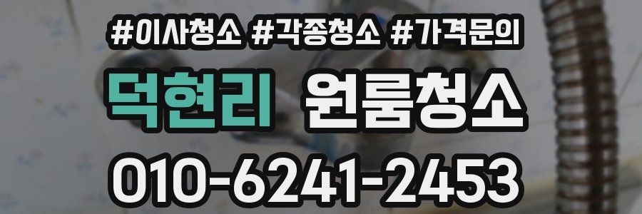 덕현리 이사청소