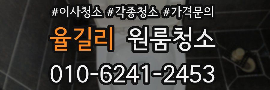 율길리 이사청소