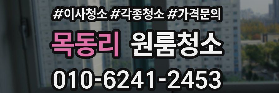 목동리 이사청소