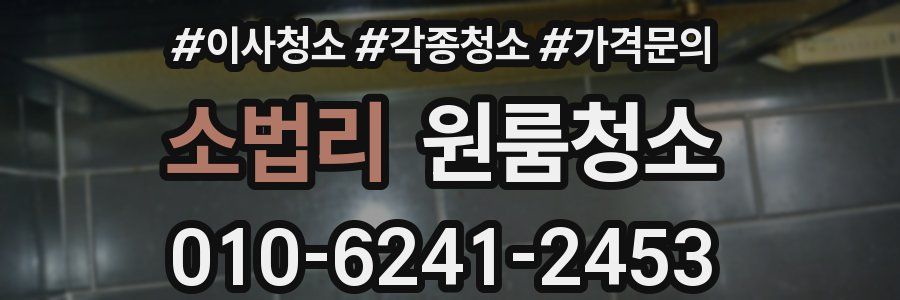 소법리 이사청소