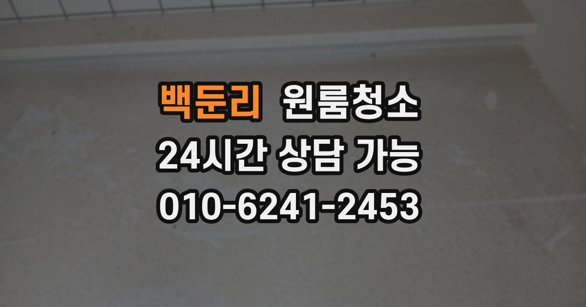 백둔리 입주청소