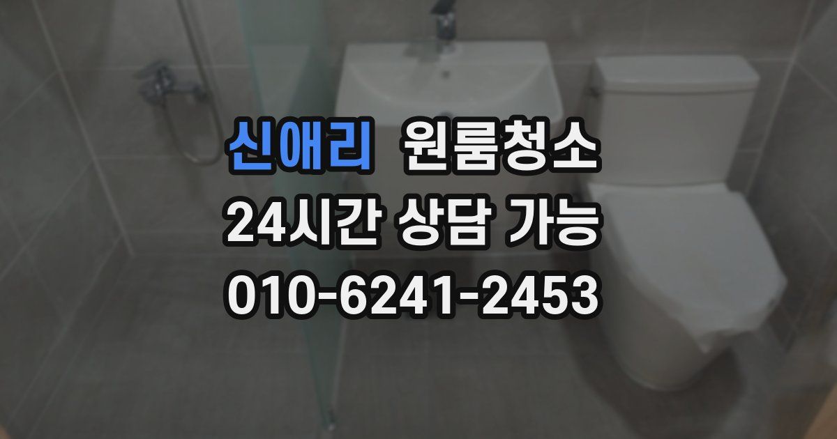 신애리 입주청소