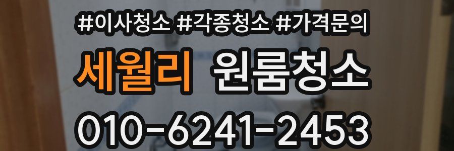 세월리 이사청소