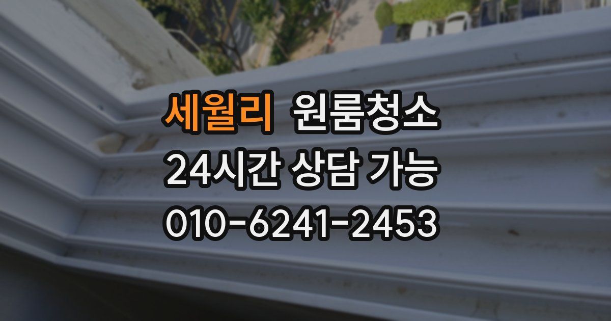 세월리 입주청소