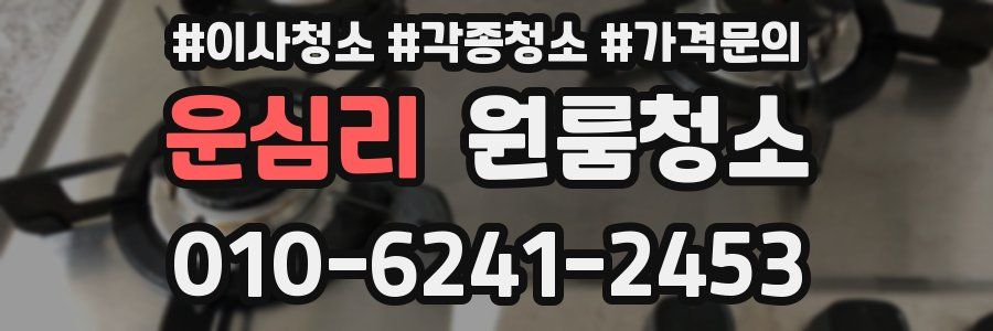 운심리 이사청소