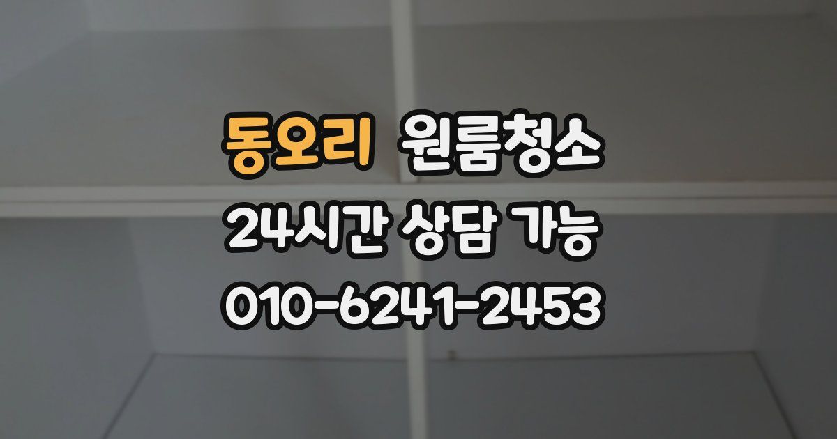 동오리 입주청소