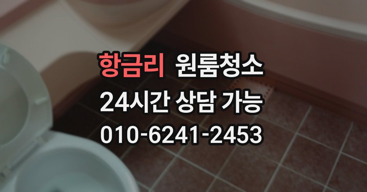 항금리 입주청소