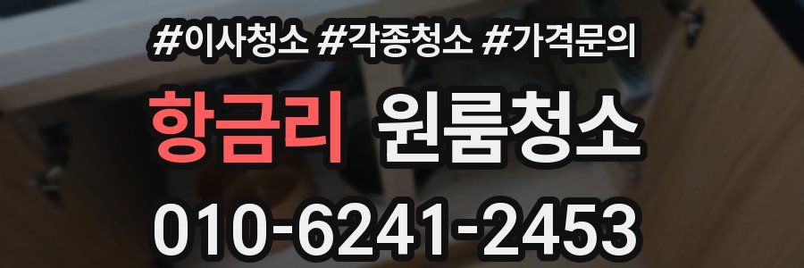 항금리 이사청소