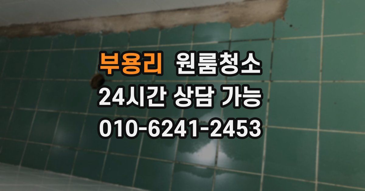 부용리 입주청소