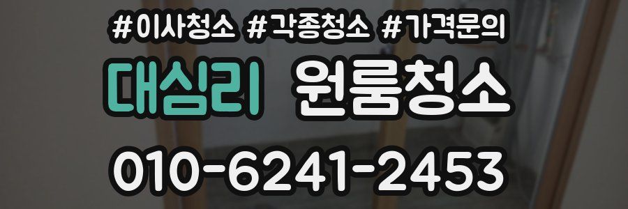 대심리 이사청소