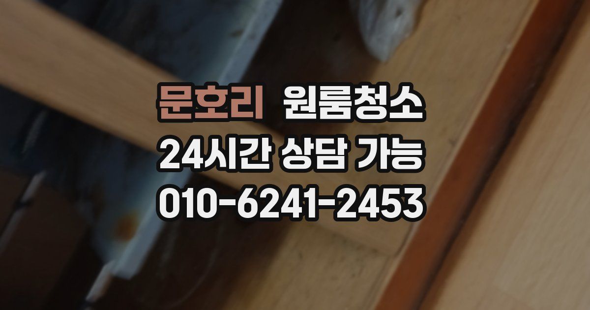 문호리 입주청소