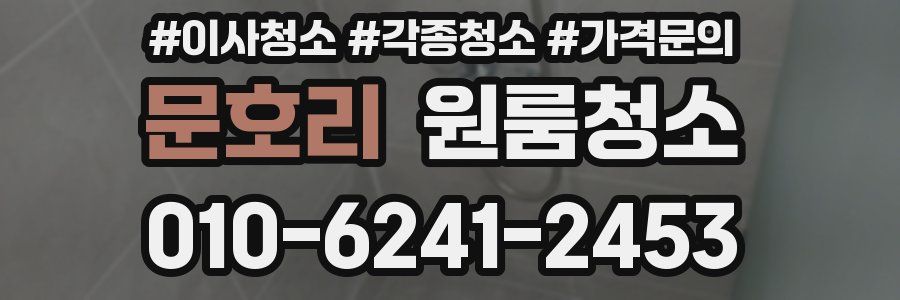 문호리 이사청소